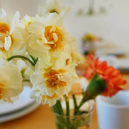 Flora Apartment